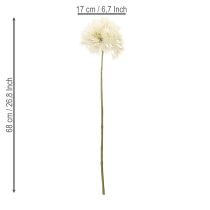 Product Allium artificial flower, delicate design for indoor use, 68cm