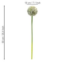 Product Artificial Allium flowering branch, lifelike appearance, 90cm