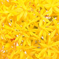 Product Allium Yellow Flower Ornamental Onion Artificial 80cm Ø14.5cm 2pcs