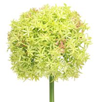 Product Allium green flower artificial ornamental onion Ø18cm 90cm