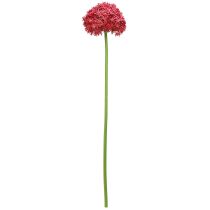 Product Allium in Bordeaux Artificial Ornamental Onion Ø18cm L90cm