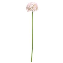 Product Allium with pink flower ornamental onion artificial Ø18cm L90cm