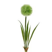 Allium green L37.5cm 4pcs