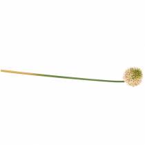 Product Ornamental onion Allium artificial pink / green Ø8cm 58cm