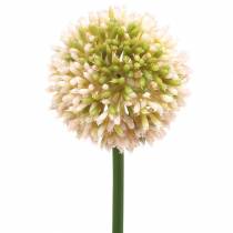 Product Ornamental onion Allium artificial pink / green Ø8cm 58cm