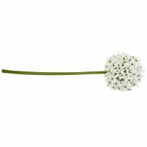 Product Decorative flower Allium, artificial ball leek, ornamental onion white Ø20cm L72cm