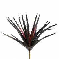 Aloe Vera Artificial Purple 26cm