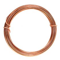 Product Aluminum wire 2mm 100g 12m copper