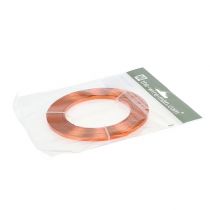 Product Aluminum flat wire, orange, 5mm, 10m, craft wire, decoration