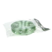 Product Aluminum wire 2mm 500g, 60m mint green - craft wire for decoration, floristry and model making