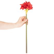 Product Artificial red amaryllis flower with stem, flower decoration for Christmas, 50cm