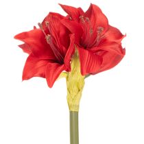 Product Artificial red amaryllis flower with stem, flower decoration for Christmas, 50cm