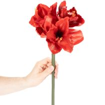 Product Artificial Amaryllis flower, red, long stem, for vase and arrangement, 77cm