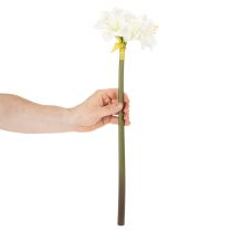 Product Artificial Amaryllis flower, white, with stem, Advent and Christmas, 50cm