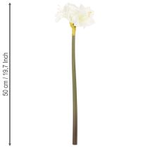 Product Artificial Amaryllis flower, white, with stem, Advent and Christmas, 50cm