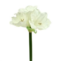 Amaryllis artificial 60cm white