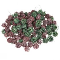 Product Sweetgum cone decoration green berry frosted natural decoration 500g