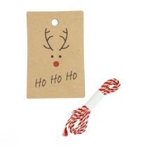 Product Christmas pendant for crafting reindeer 5.5x8.5cm 4pcs