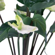 Product Artificial flowers, flamingo flower, artificial anthurium white 36cm