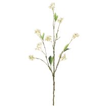 Product Apple blossom branch, artificial flower branch, white, 65cm, 1 piece