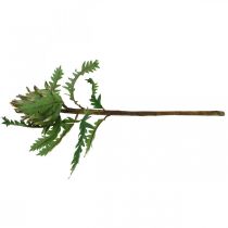 Product Artichoke Artichoke Green Deco Autumn Ø7.5cm H43cm