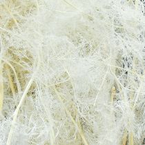 Product Asparagus Dried Grasses Ornamental Asparagus Cream 90cm 5 pcs