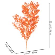 Product Dried Asparagus Flowers Branch Ornamental Asparagus Dyed 65cm 80g