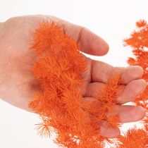 Product Dried Asparagus Flowers Branch Ornamental Asparagus Dyed 65cm 80g