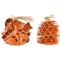 Product Coloured Capiz and Oyster Shells in Net Orange 3.5-9.5cm 2pcs