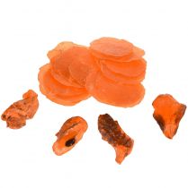 Product Oyster Shells Capiz Slices in Net Orange 3.5–9.5cm 2pcs