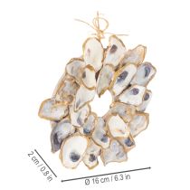Product Oyster wreath shell decoration, maritime home accessory, natural wall decoration, 12cm