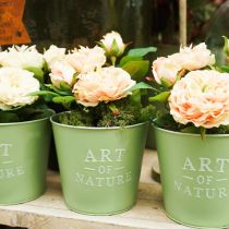 Product Flower pot zinc mint green Ø15cm H13.5cm