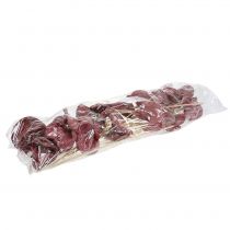 Product Badam on a stick red, white washed 25 pcs