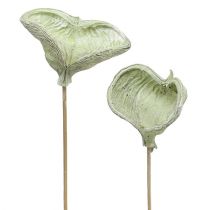 Product Badam on a stick natural decoration green white washed 25 pcs