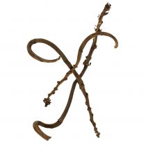 Product Banana Stick Natural large 10 pcs