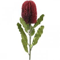 Product Artificial Flower Banksia Red Burgundy Artificial Exotics 64cm
