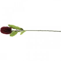 Product Artificial Flower Banksia Red Burgundy Artificial Exotics 64cm