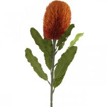 Product Artificial Flower Banksia Orange Autumn Decoration Funeral Flowers 64cm