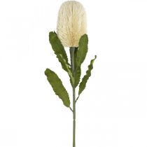 Artificial Flower Banksia White Cream Artificial Exotics 64cm