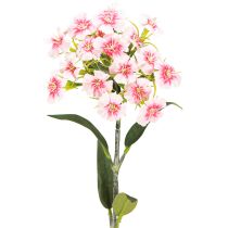 Product Bearded carnation artificial carnation Peach Pink 52cm
