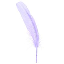 Product Craft Feathers in Purple Goose Feathers Dyed 20g x 2pcs