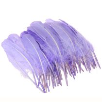Product Craft Feathers in Purple Goose Feathers Dyed 20g x 2pcs