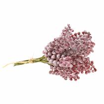 Product Berry pick red, iced 21cm 12 pcs