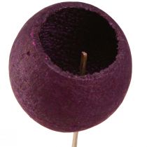 Product Bell Cup on a stem dry decoration funeral floristry wine red 15 pcs