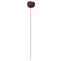 Product Bell Cup on a stem dry decoration funeral floristry wine red 15 pcs