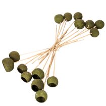 Product Bell Cup on a stem, green, dried exotic flowers, 5cm, 15 pieces