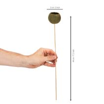 Product Bell Cup on a stem, green, dried exotic flowers, 5cm, 15 pieces