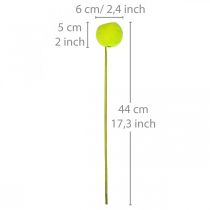 Product Bell Cup on a Stick Green Dried Exotics 15 Pcs