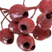 Product Bellgum branch 5cm - 7cm Frosted red 20pcs