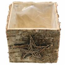 Product Birch plant pot with star H15.5cm